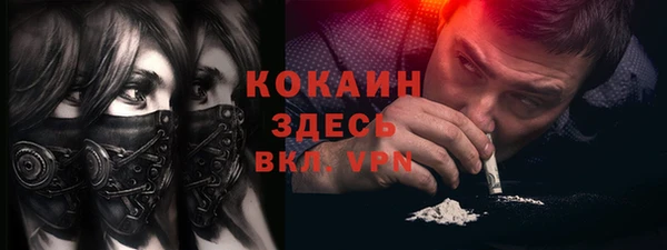 кокс Бородино