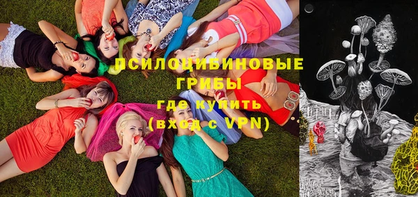 кокс Бородино