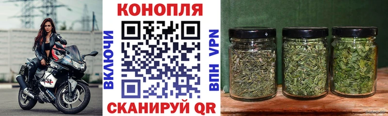 дарнет шоп  Электроугли  Бошки марихуана White Widow 